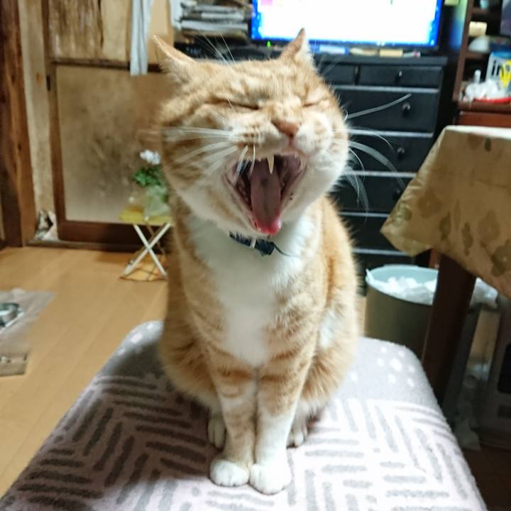 69a8f553 b52a 4ff8 8959 da4b39ca25e5 1608411958130