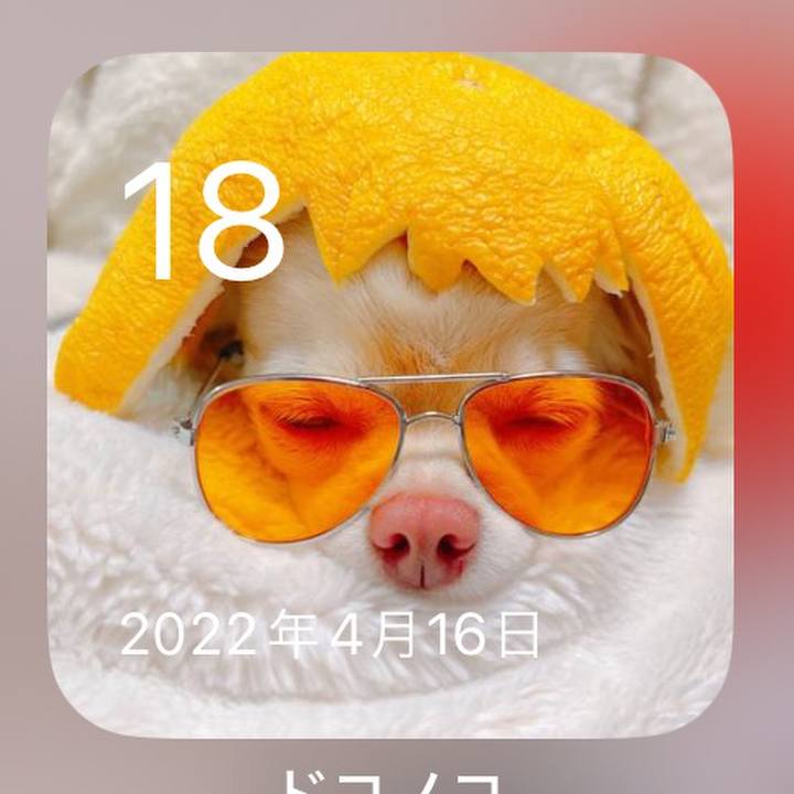 69a92484 ffd8 4606 a3fc b9124401c813 1713395659628