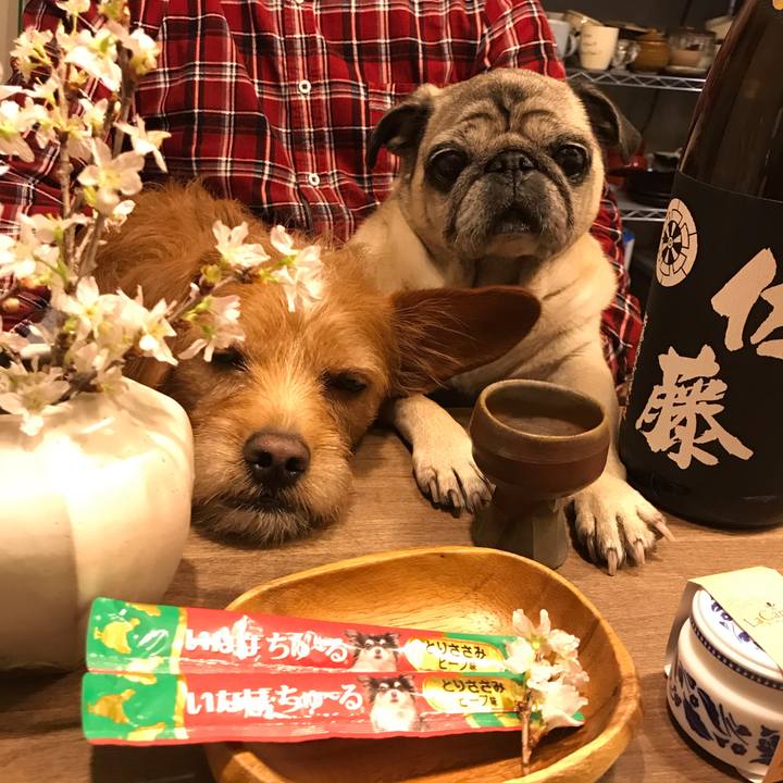 69a92757 cc9b 4d67 ae35 445119894ea8 1585223254789