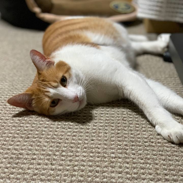 69a95a06 2e09 4784 9a96 3a03681de684 1572092983018