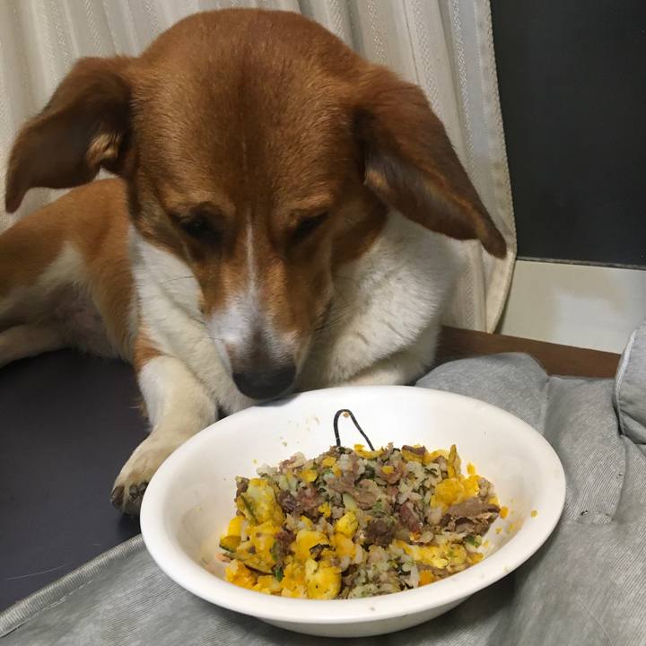 69a95bab dcf1 439f b4d5 162a44e60488 1631748203629