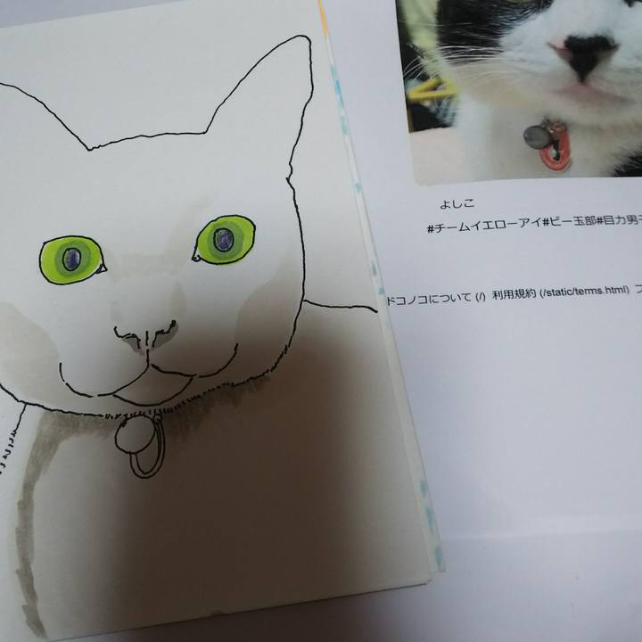 69a976f7 4199 415b 90f9 3e337e4d960d 1537770510864