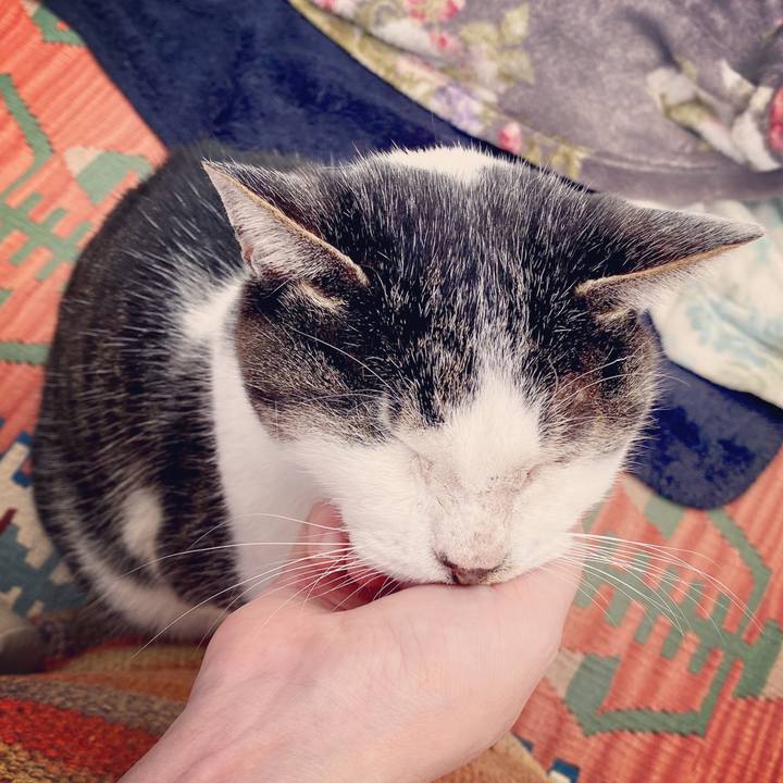 69a9948f 0ea3 49fb 9bef fc1e6d69d1f0 1578213251034