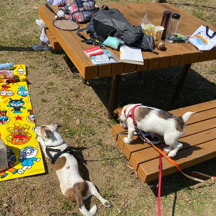 69a99973 baf3 4955 a0a2 21299c068fab 1618139794165