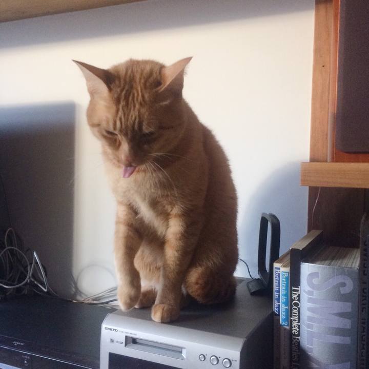 69a99d5f 7095 43f4 929c 4f4dc617177d 1515284494325