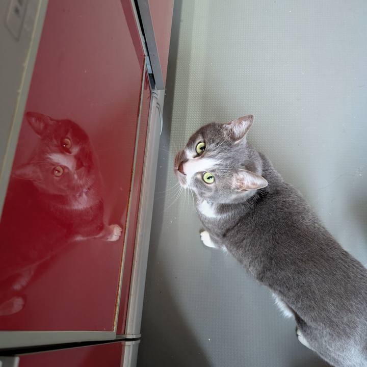 69a9d5f9 7c5c 4551 ae85 904604df613a 1745382762773