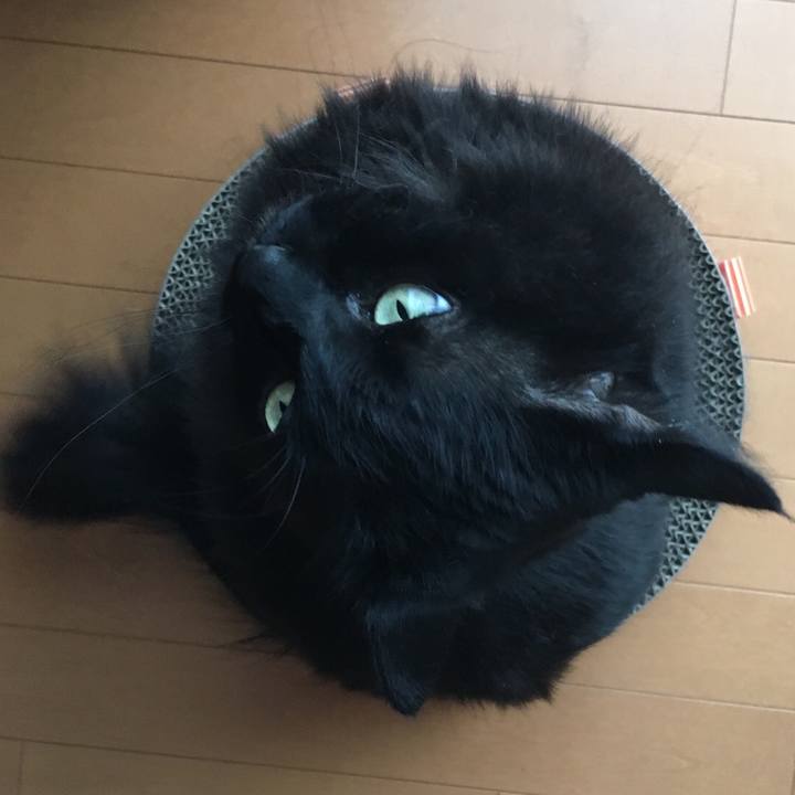 69a9daf7 1072 4bcb 9de5 4254a710c655 1531733626730