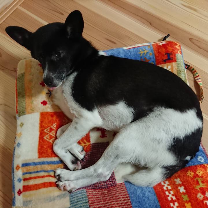 69aa2ac5 cd62 4276 87df cae196c45304 1625147984179