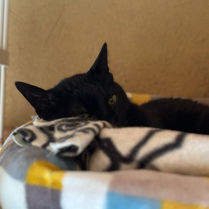 69aa6a16 fb4f 4511 8e11 9658332625a0 1691020605811