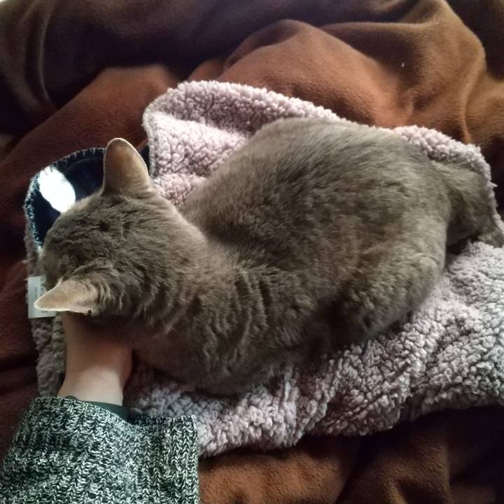 69aa817e 1077 4791 ae2e d8508c8b914e 1681855576417