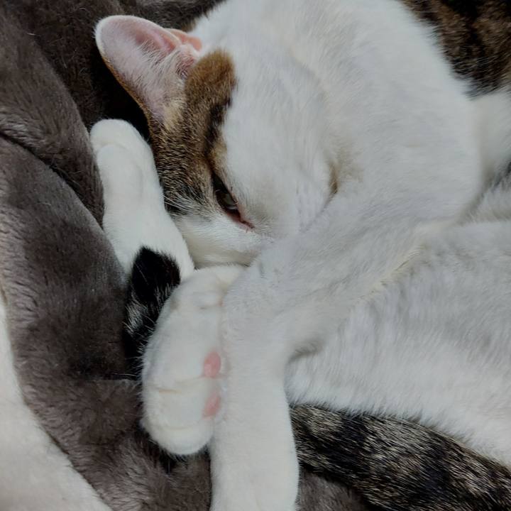 69aa8f77 52f0 4c91 9fb6 c1204b26520a 1645614663188