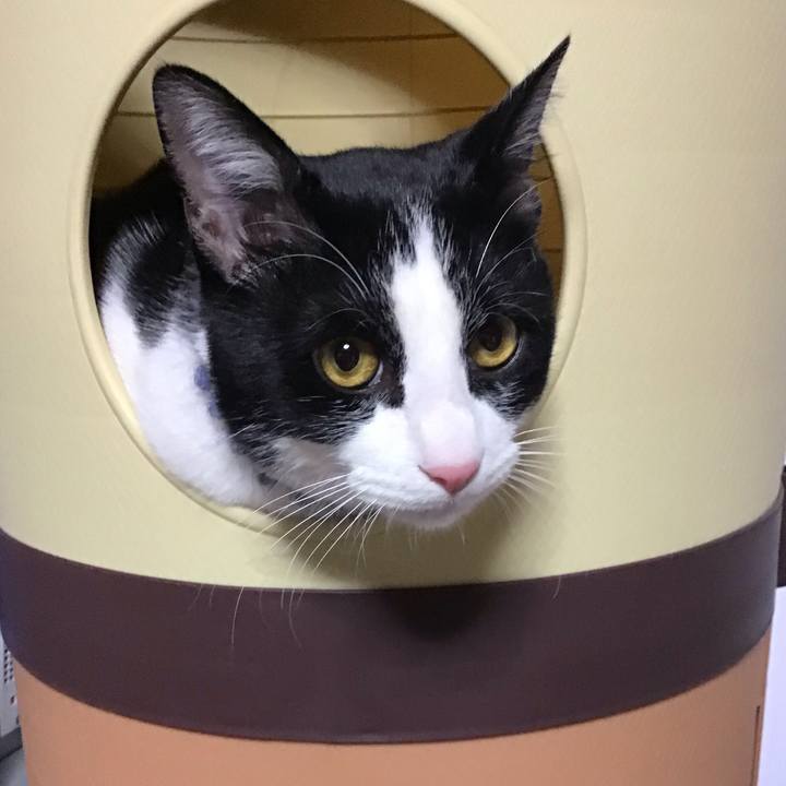 69aaa0cb fc3f 4916 93c0 ced03122bc94 1643527609284