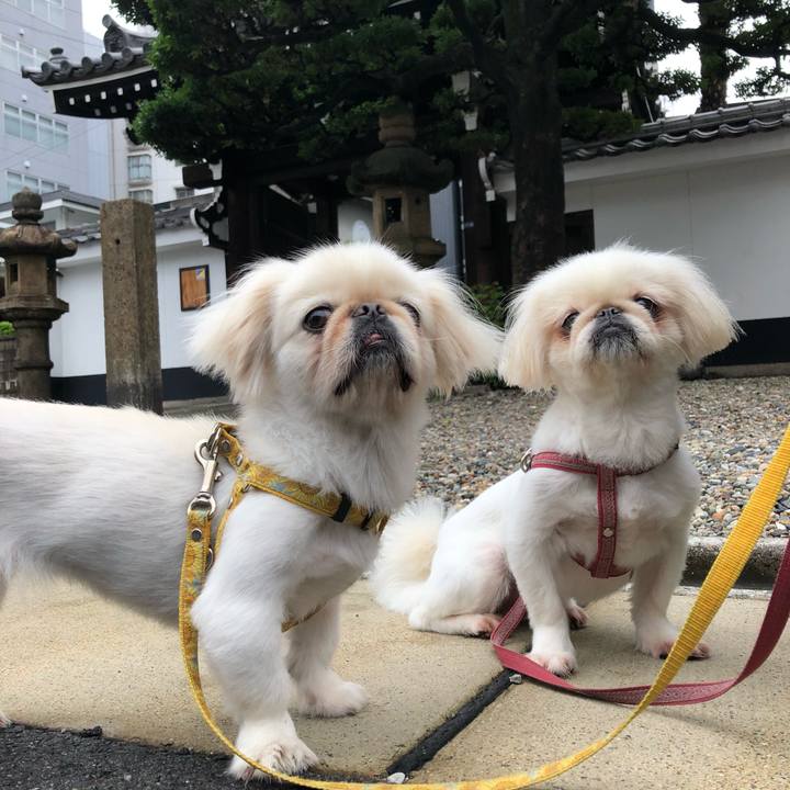 69aac722 9387 40a8 ae28 8578fc2019fc 1538258691910