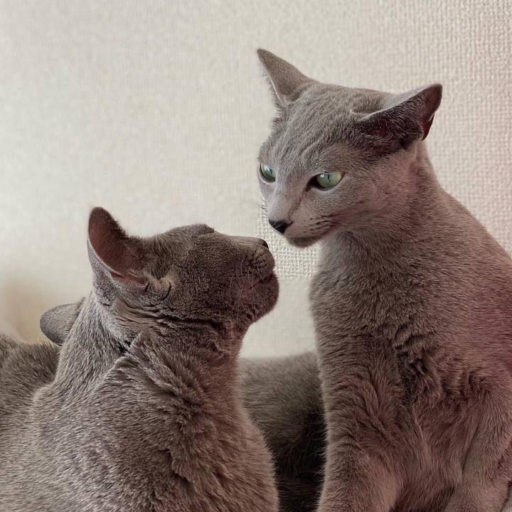 69aadfa4 ee45 4c37 b04e 45142d6da7ab 1638330416787