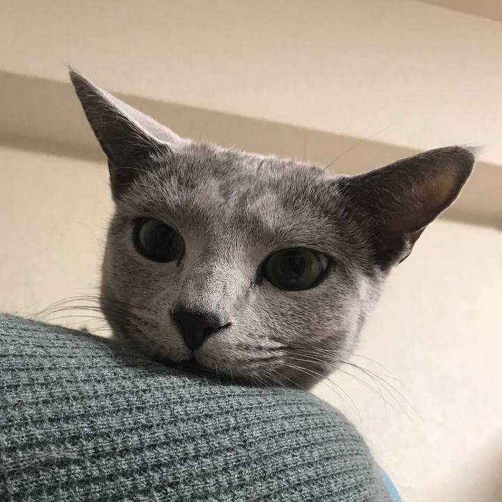 69aaf5a1 0e78 40f7 a819 7a04757fe059 1542952671253