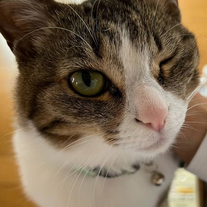 69ab0c8a 075f 40ab acec b5eb6359b119 1750427817112