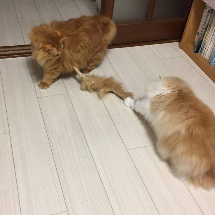 69ab0ec3 d1f7 4374 ad53 2086767cb20b 1516310877391