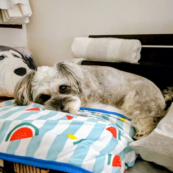 69ab3654 c4e7 4143 a1af a27d0f94762d 1759497711995