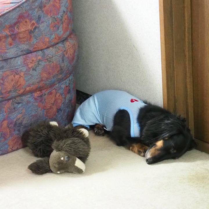 69ab4461 2f68 4e61 a08c bbe15716138a 1627350511936