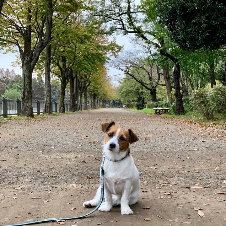 69ab68a7 a45e 4bff 8b3e 7be13c045cf2 1539949276411