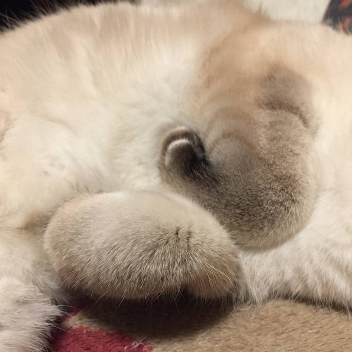 69ab7197 aa0a 4370 bb3b 4b88ade6866d 1578658307485