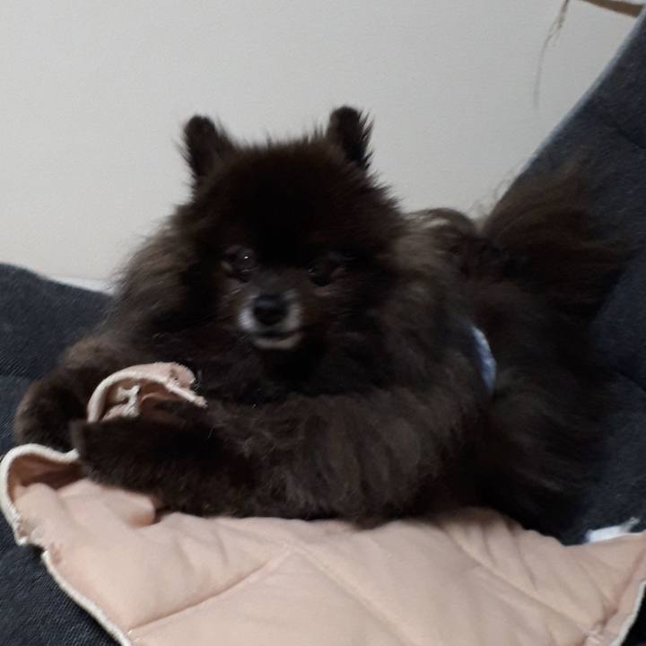 69ab84e6 ee14 4483 861d 964c38b4d65e 1521924694015