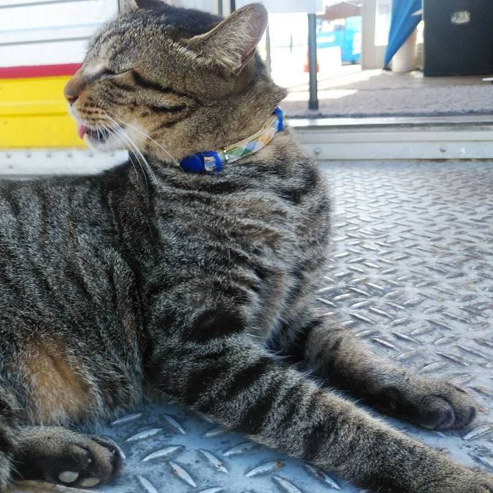 69ab97ff 56f9 4da8 8ec0 cefaf5689142 1599785951326