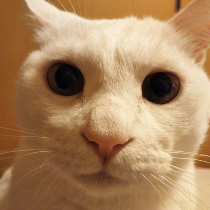 69ababc0 f44c 44da a57c 14e8afc11c4b 1568734006083