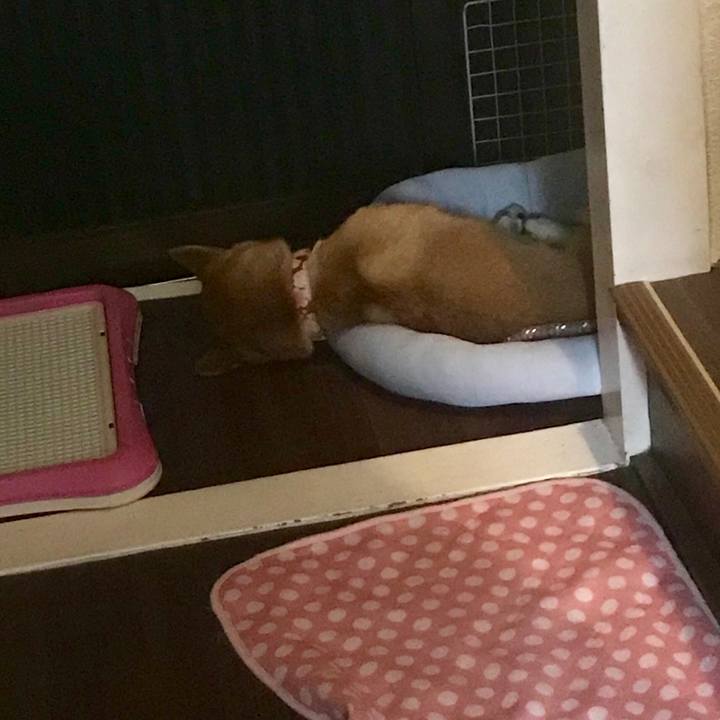 69abb53f a911 46cc b76a 9a98a24f32d4 1540825583023