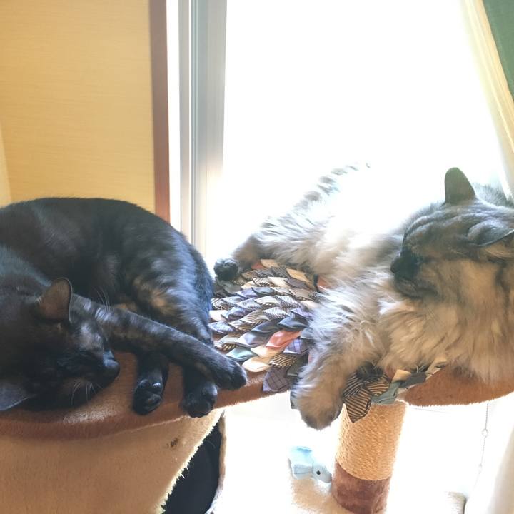 69abbc98 87bd 40ba b56c 134c61bac3c6 1557967943452