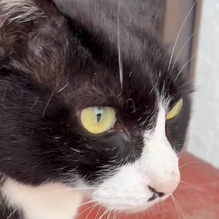 69abcda6 1c5a 462b 87df 9060f4bc9c09 1749435939399