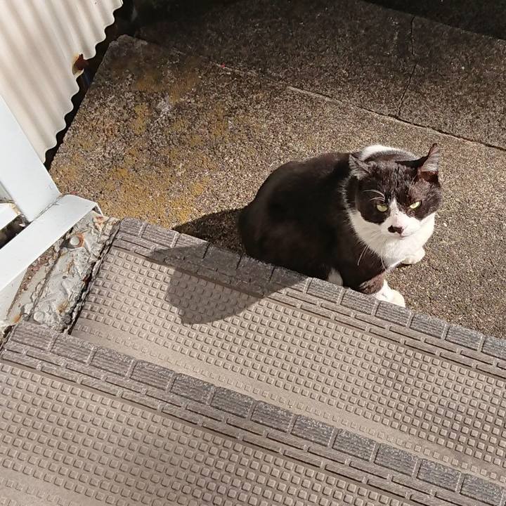 69ac67b8 e898 42e1 976a 1100431eb31b 1608083276893