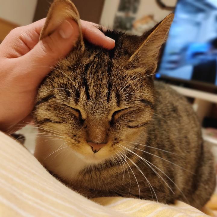 69ac6e50 9d11 4513 9afe b163735664f0 1678880655124