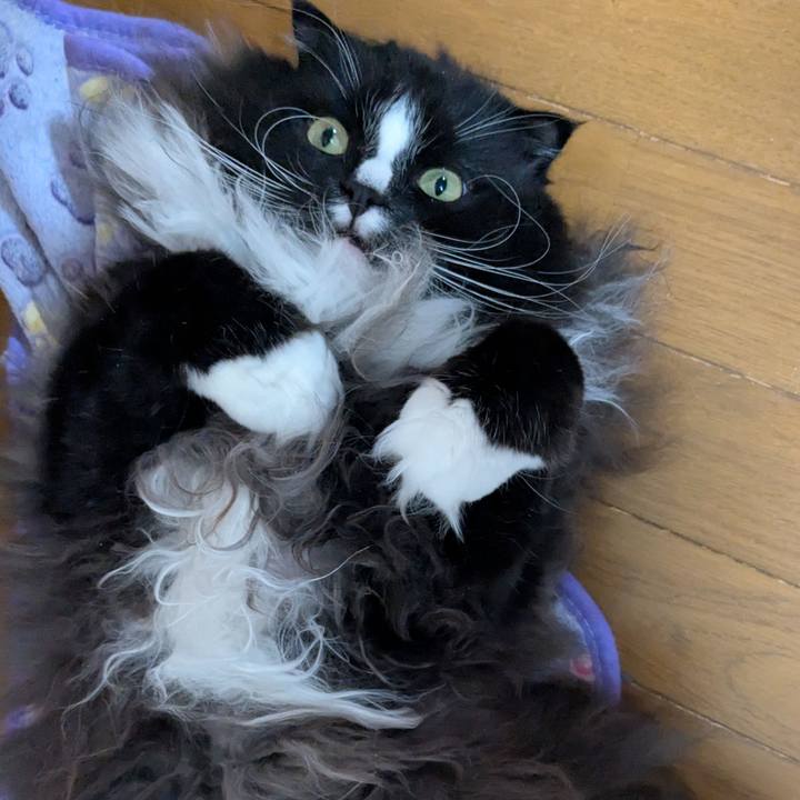 69ac714c 287f 4418 a2b3 913a2989d992 1769784408694