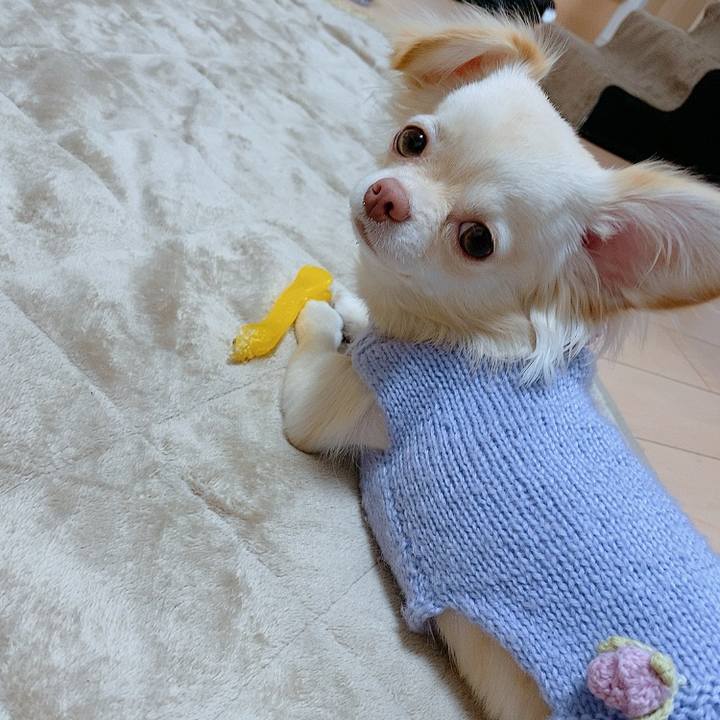 69accef4 1a77 4005 86d5 e0d85387b7af 1613392406465