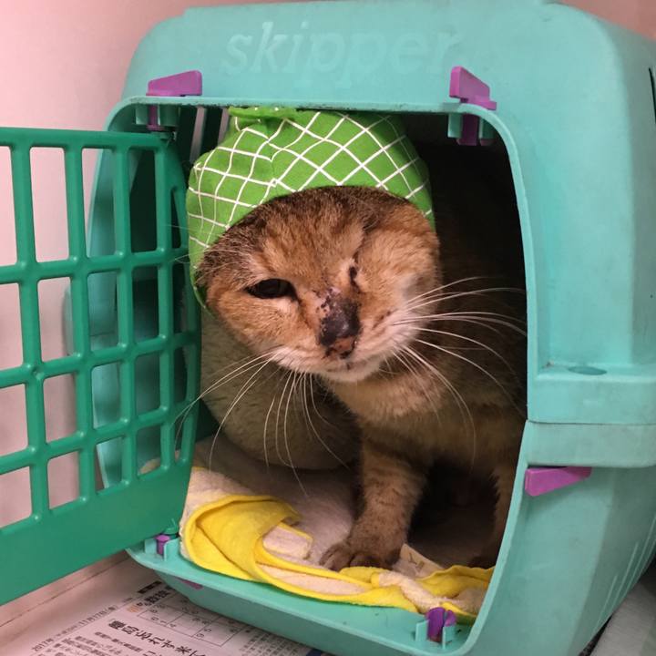 69acd05e 8811 43d7 9f08 c1b26d01fb89 1521086611132