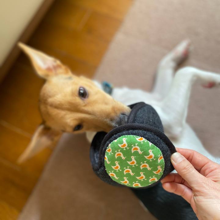 69ace93a 890a 471d bd1d 2cca42a8ba33 1766888165557