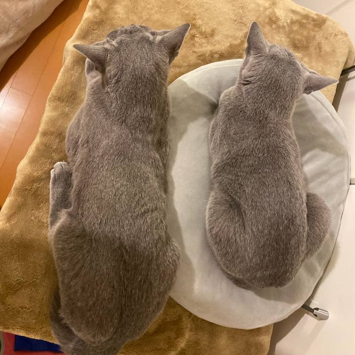 69ad0cdc 66d8 4ae1 9ff8 f6b20862da1a 1664886475238