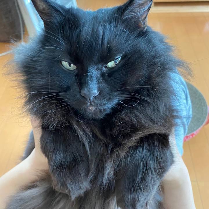 69ad20d3 2266 44cb 9d17 08bb5959fd24 1576299551709