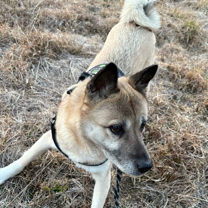 69ad4f5b 1fe8 4c6d b2bc adf150d4dde0 1740054968031