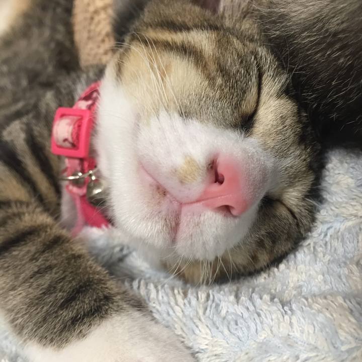 69ad622c 209a 4fab bf55 d14b9229bf48 1656470592445