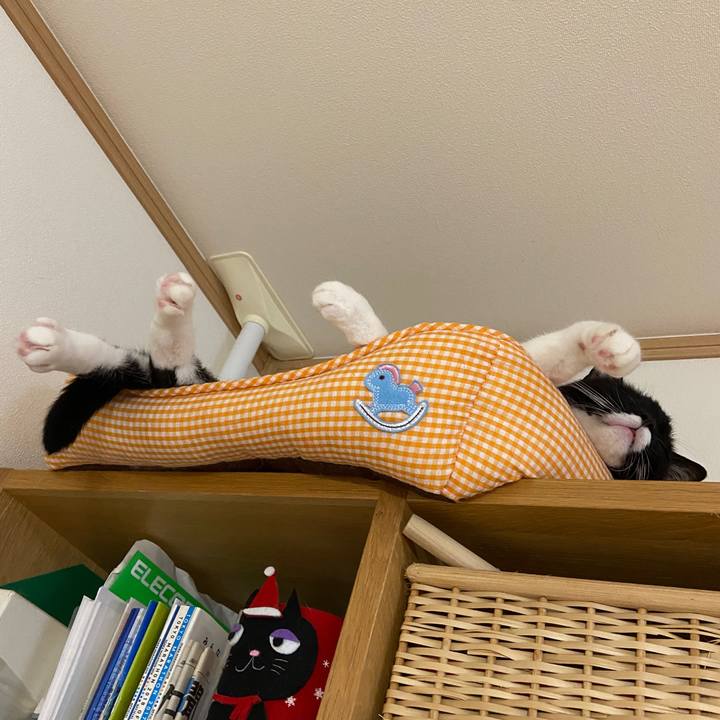 69ad825a c768 46ca baff b1386ff452a6 1694565807047