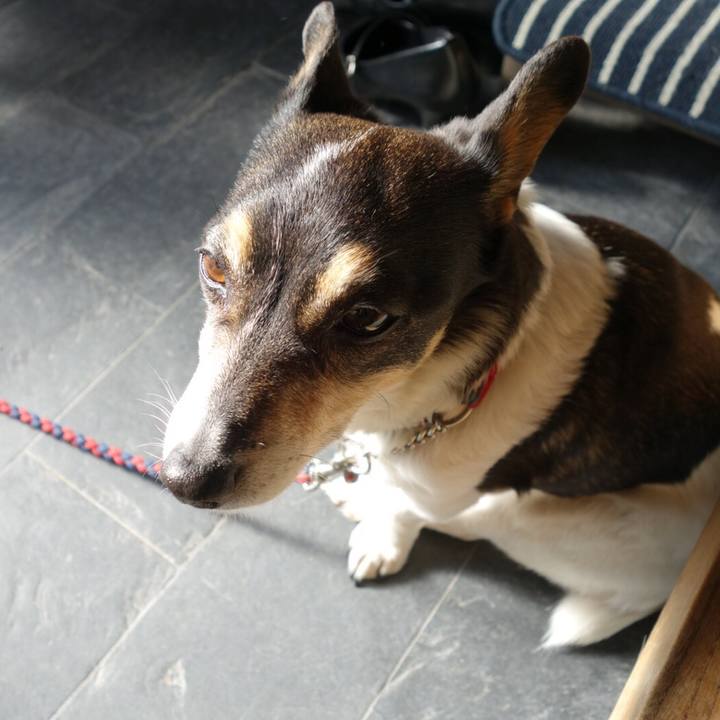 69ad85ab 5170 42a2 bfe5 9c134367dc5b 1554423724576