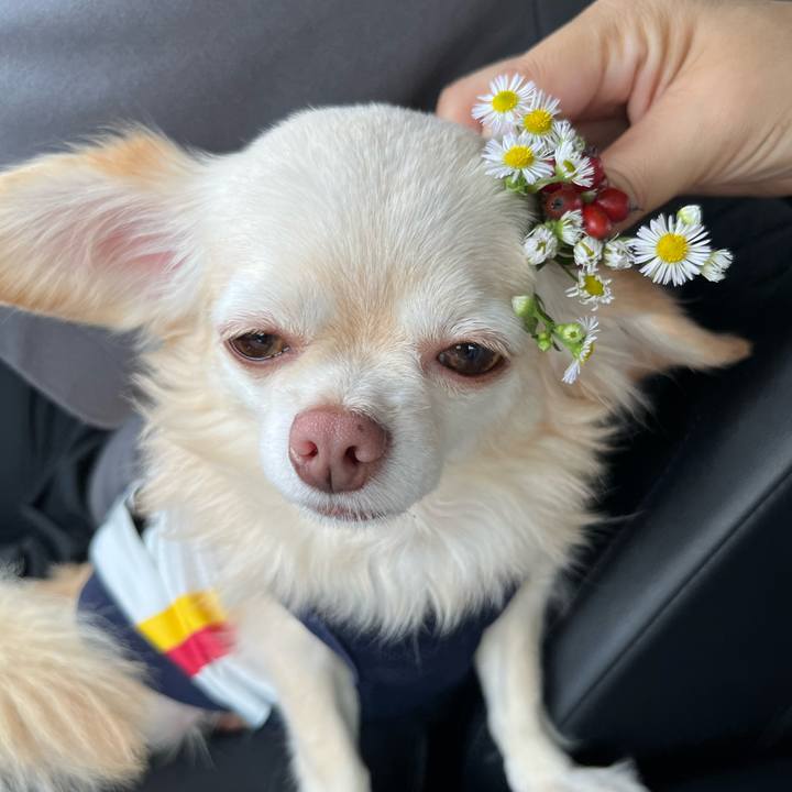 69ad8b64 cf8c 4587 8220 c9a0f1f094f9 1727498512307