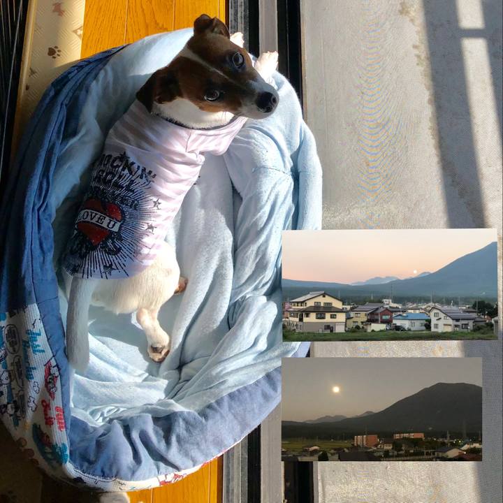 69ad9232 af53 44a4 b62d 0cf9cc9aa162 1568506153693