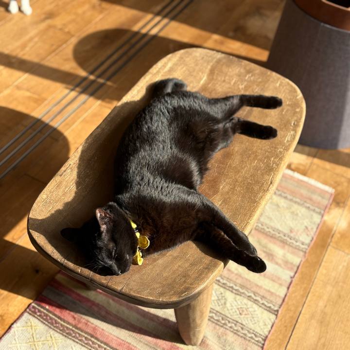 69adccff 34f5 435f 806e f8b8baa8c13d 1769909303584