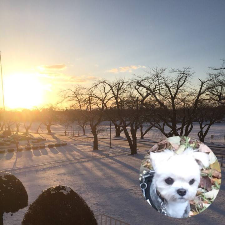 69addbc6 89ea 4a06 b7f0 e1b5c375a88b 1513170442313