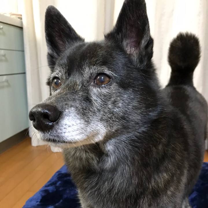 69ae4a50 57fb 4305 8e86 0e05924d2e01 1548943418094