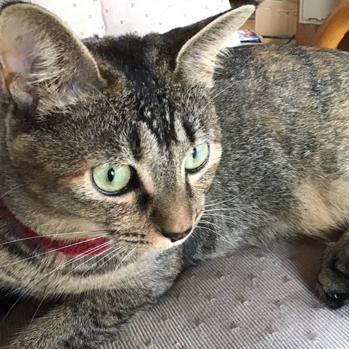 69ae7980 276c 42bb 98f3 fbeeeb7854de 1600162617439