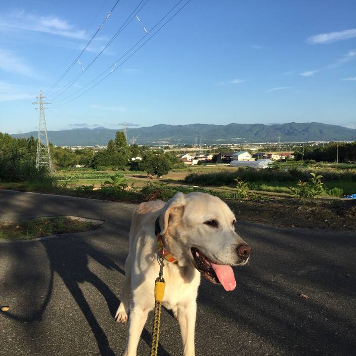 69ae7a8f b817 4462 893c 117c56e9639f 1537345746544